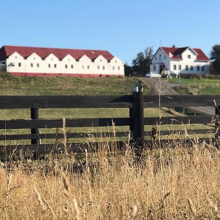 Helluland Guesthouse Saudarkrokur Eksteriør bilde