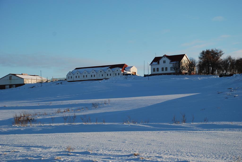 Helluland Guesthouse Saudarkrokur Eksteriør bilde