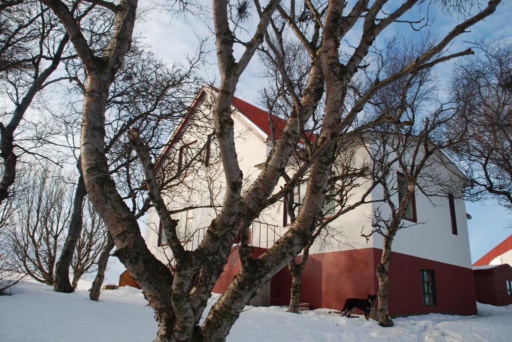 Helluland Guesthouse Saudarkrokur Eksteriør bilde