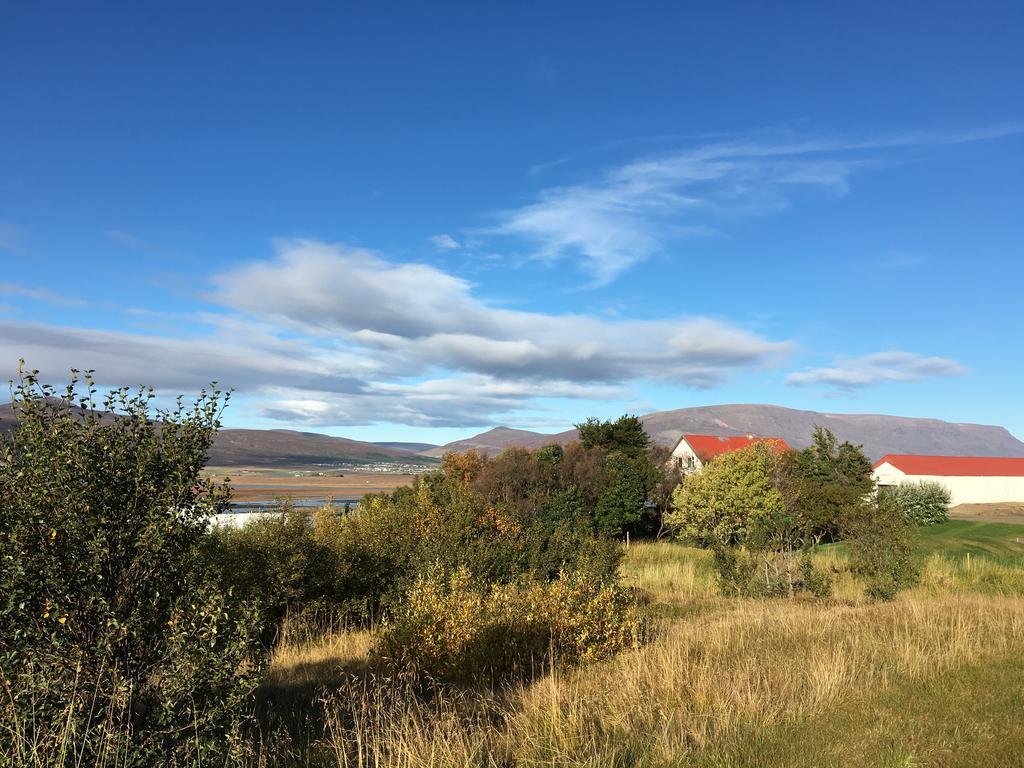 Helluland Guesthouse Saudarkrokur Eksteriør bilde