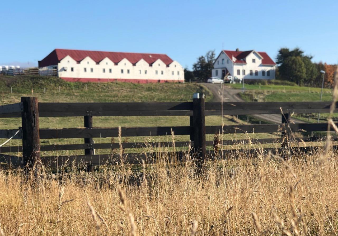 Helluland Guesthouse Saudarkrokur Eksteriør bilde